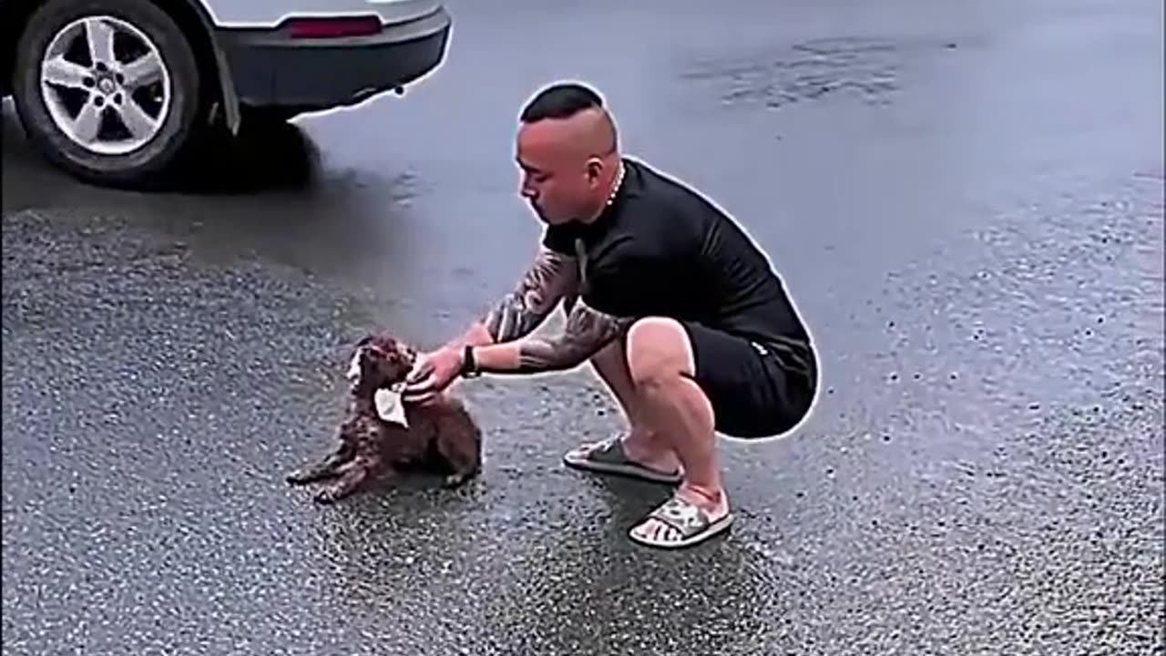 God put a boost in this dog's life