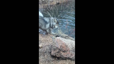 Lake Mally Frolics