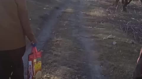 Video funny