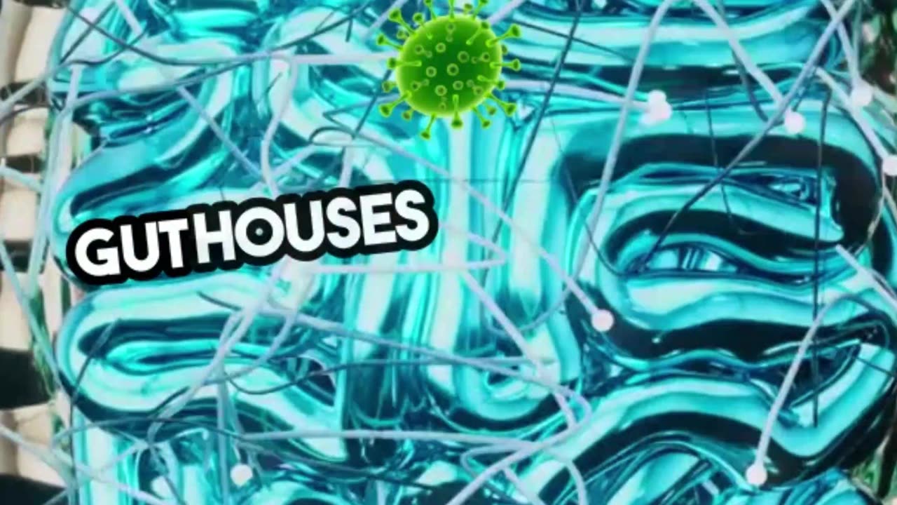 Unlocking Gut Health_ Transform Your Wellness