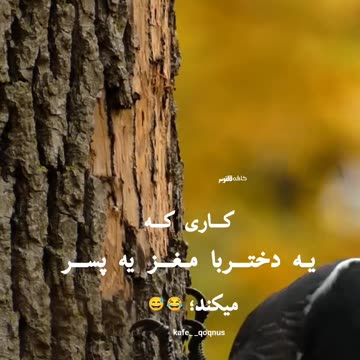 What a girl does with a boy's brain🤣🤣🤣