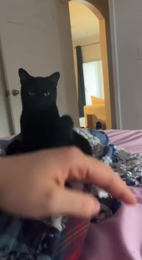 Keep your hands to yourself 🤣