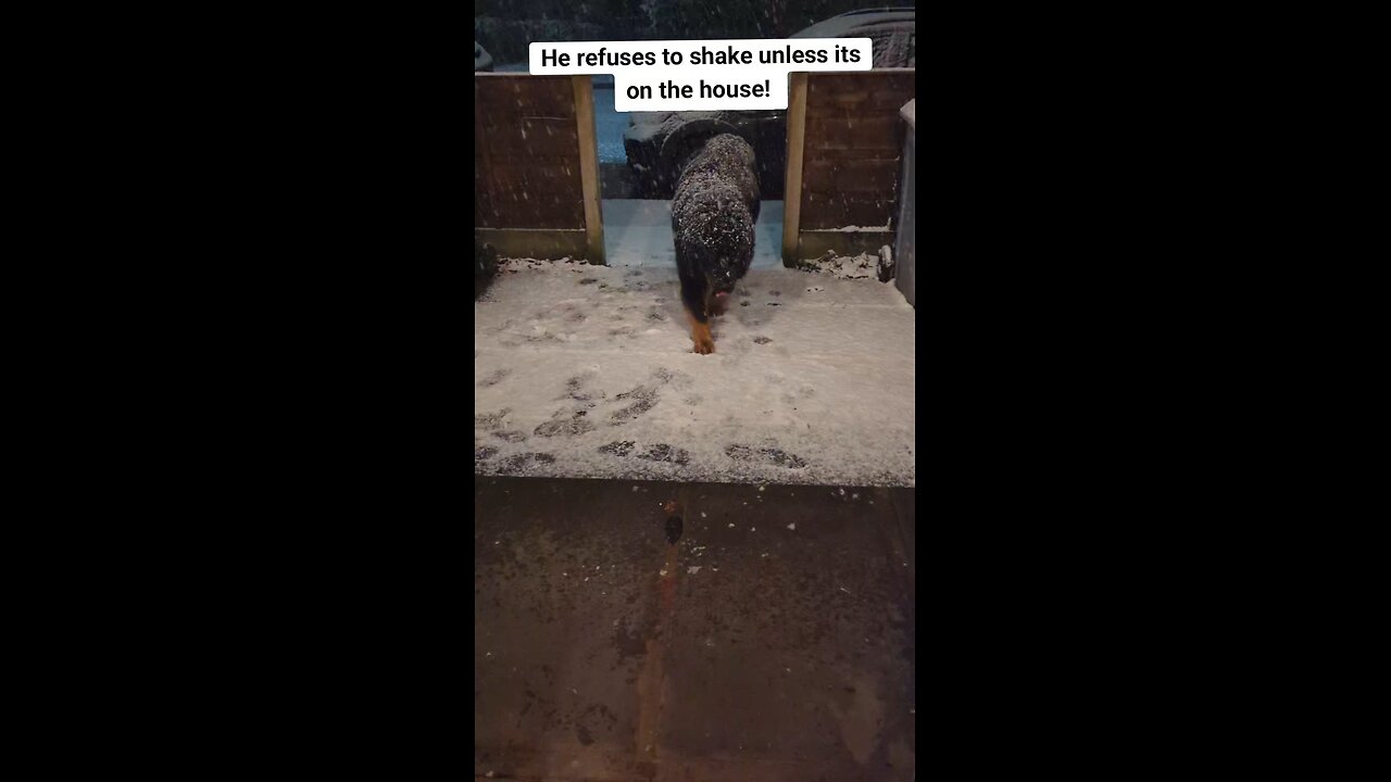 He won't shake unless it's in the house.