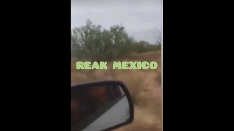 SECURE THE BORDER: Cartel patrolling the South Border