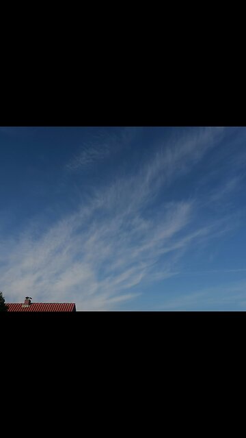 “So now Chemtrails are real - bookmark the day.”