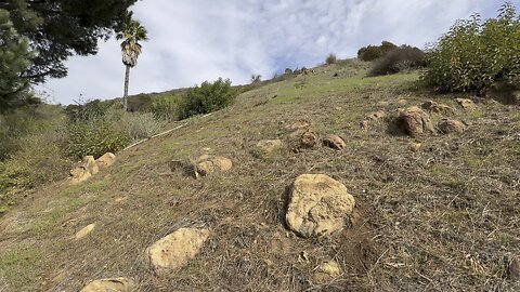 Hiking 🥾 in Hollywood