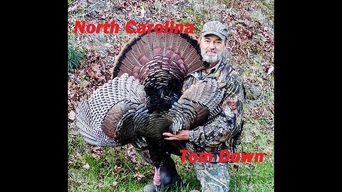 Why Turkey Hunters MUST Try This Calling Technique