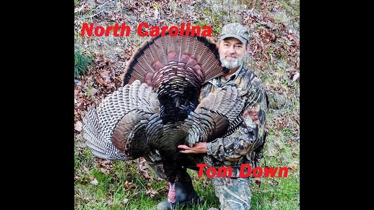 Why Turkey Hunters MUST Try This Calling Technique