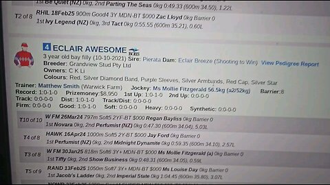 Newcastle Race 2: Beating the Favourites – Four Value Plays at Big Odds! 🔥 Part 2