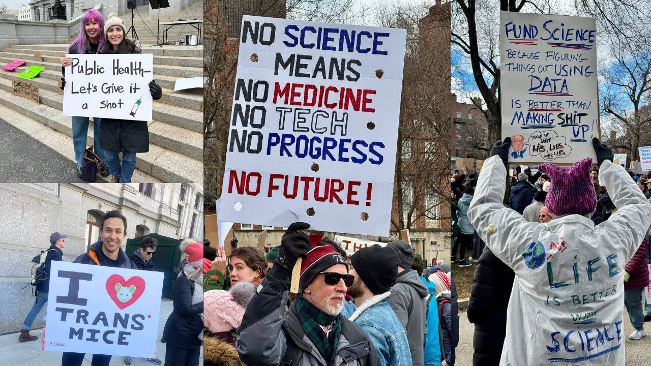 Stand up for Science, LA lost homeless $, return to Gaza fighting, & Silent Weapons for Quite Wars