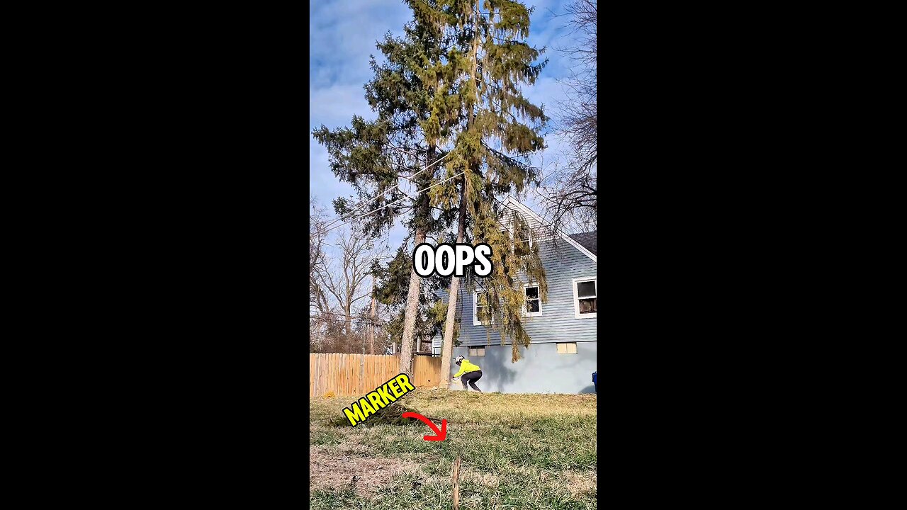 Dropping a Tree Near a House – Almost Nailed It!