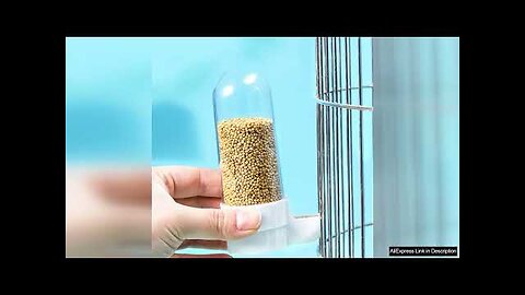 Parrot Water Dispenser Automatic Pigeons Bird Feeder Bowls Anti-splash Feeding Drinking Food Review