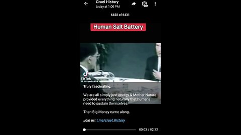 Documentary: A Salt Human Battery