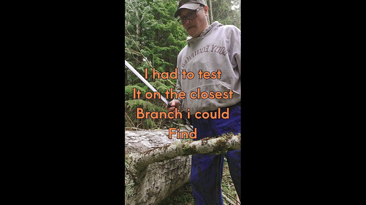 Wood Splitting Just Got Epic – Pocket 6lb Sword Unleashed