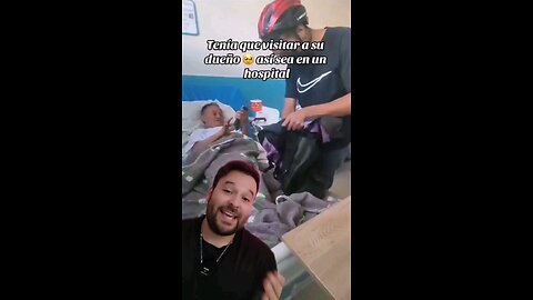 Meten en el hospital a escondidas a perrito para ver a su humano 🥰