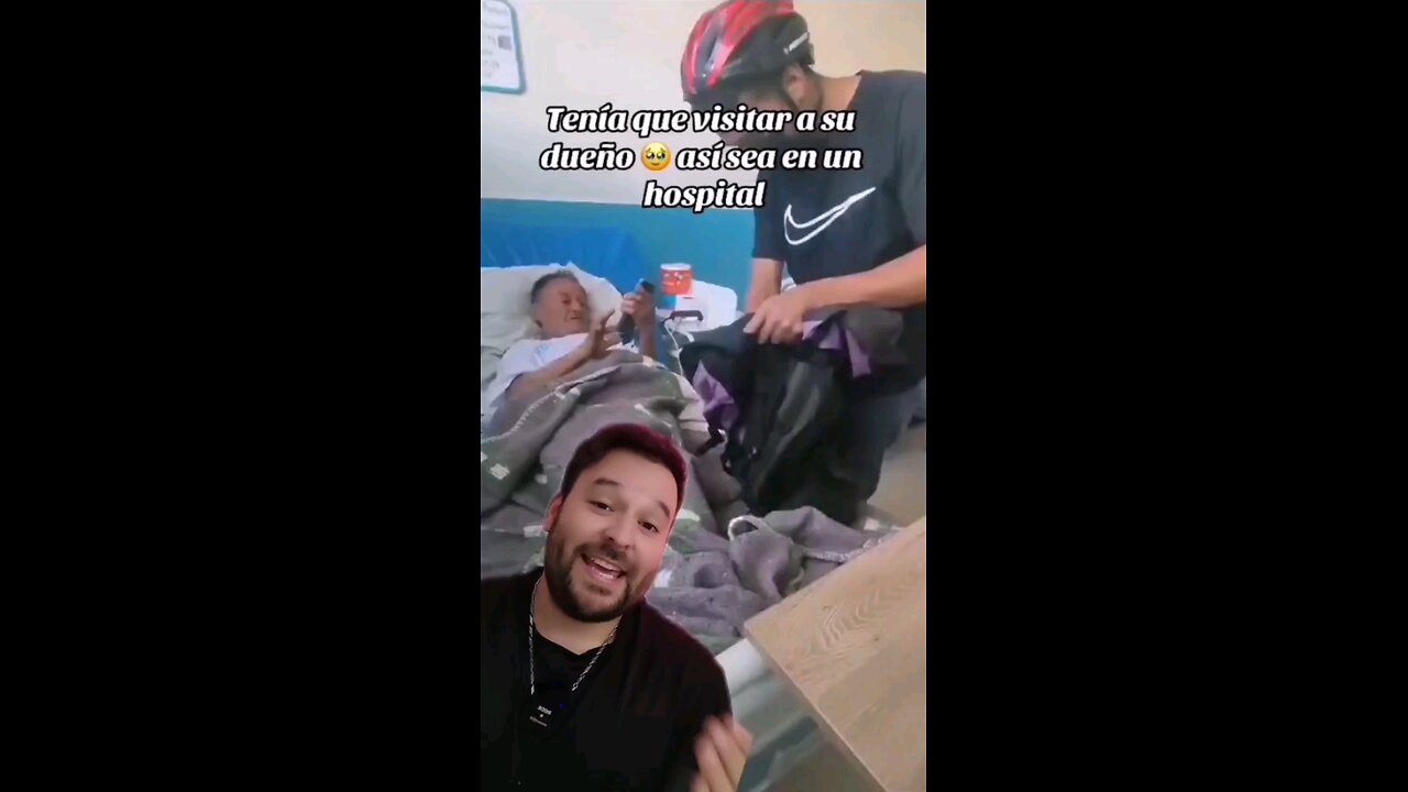 Meten en el hospital a escondidas a perrito para ver a su humano 🥰