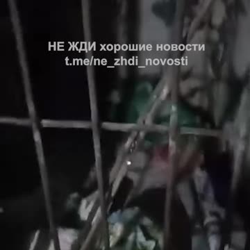 A Look Inside a Russian Refusnik Jail