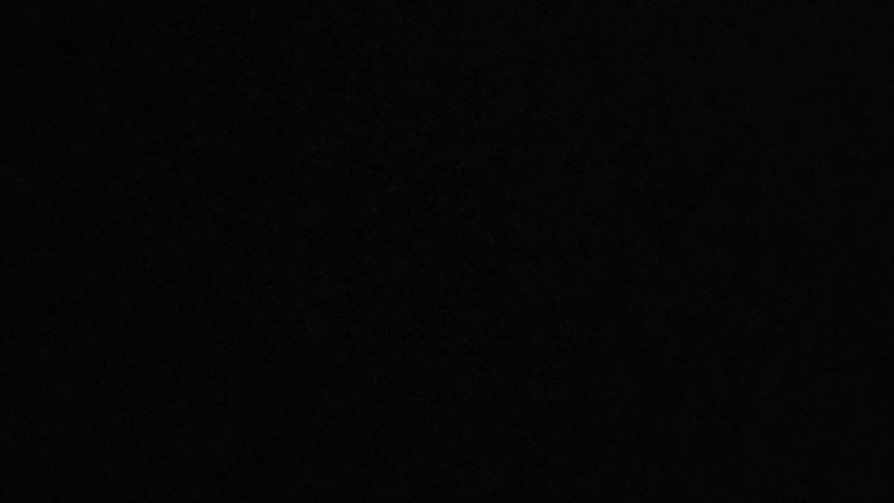 Feb 19 2025