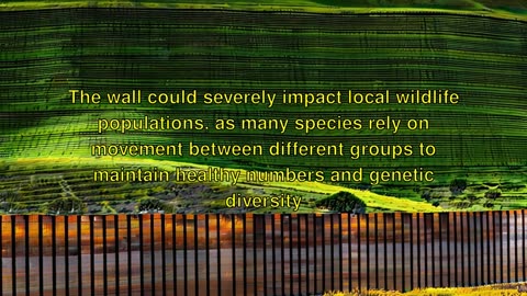 "Border Wall: A Biodiversity Crisis"