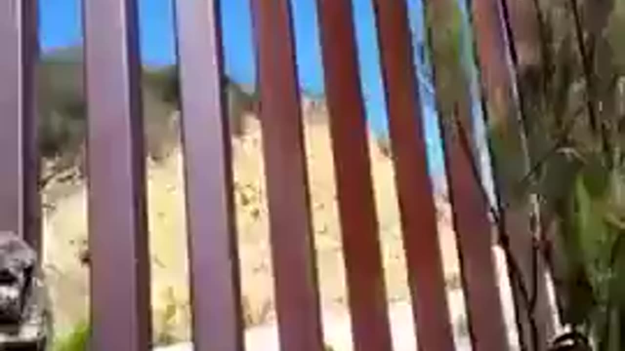 Invaders Set Up a Ladder at the U.S Border