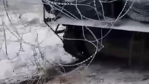 Ukrainian Razor-Wire Laying Vehicle is New to Me