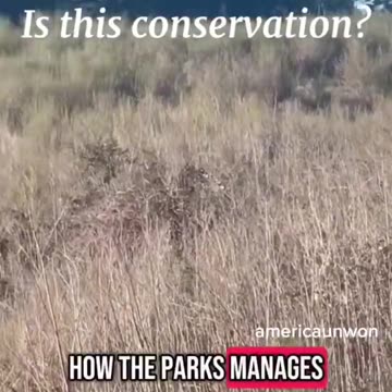 CALIFORNIA LAND MANAGEMENT