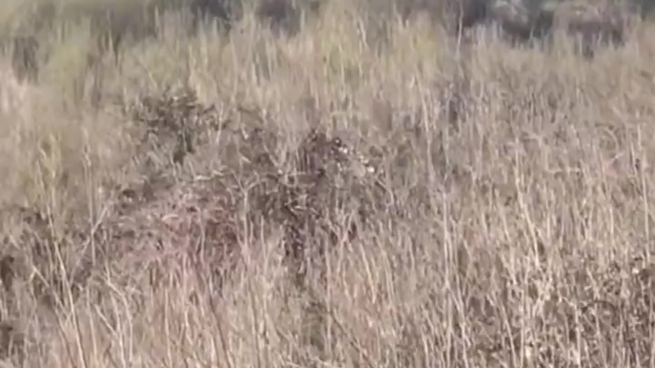 CALIFORNIA LAND MANAGEMENT