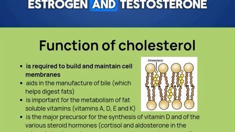 Cholesterol is ESSENTIAL! Did you know?