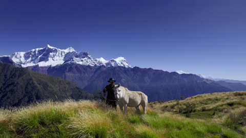 Tanghan Horse in Nepal