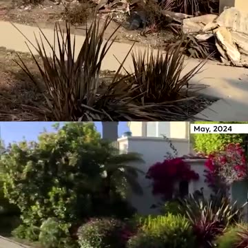 Walking Tour of LA Reveals Mass Destruction Left by Wildfires