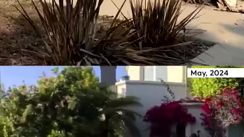Walking Tour of LA Reveals Mass Destruction Left by Wildfires