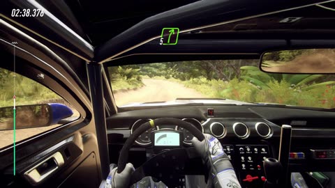 Ford Mustang GT4 | Hawkes Bay, New Zealand | Clip 02/03 | DiRT Rally 2.0 | #4K