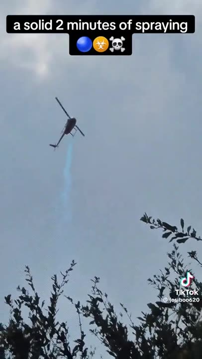 Helicopter sprays blue chemical over house in Florida