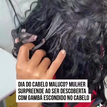 Mulher surpreende com filhote de gambá no cabelo