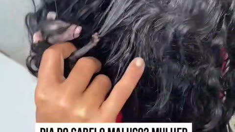 Mulher surpreende com filhote de gambá no cabelo