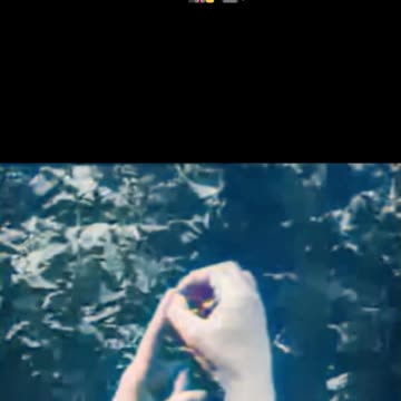 German sniper hand signal #Colourized communication 🇩🇪 🕵️‍ ♂️🎥