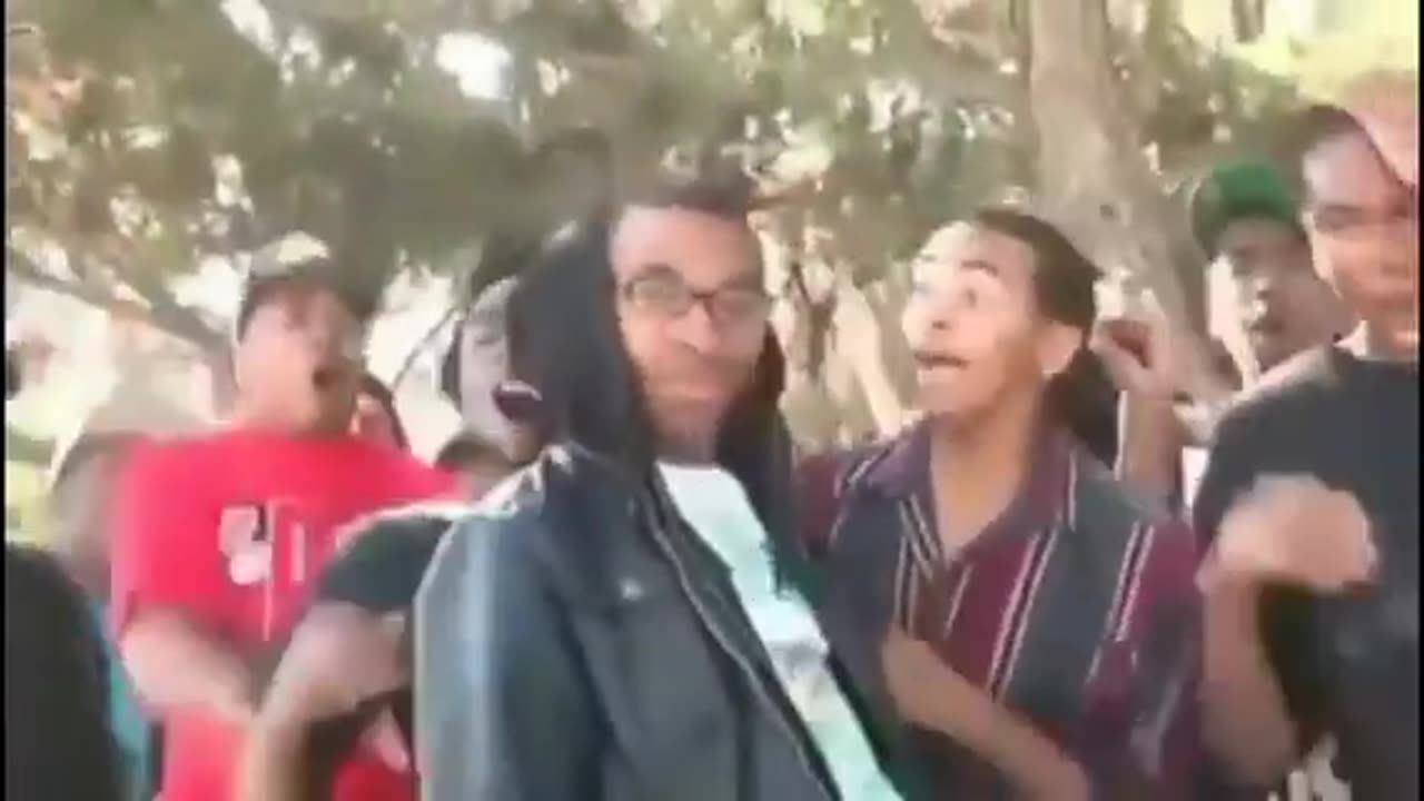 Top funny memes