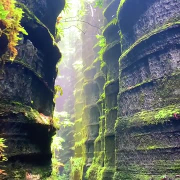 Underwater World 460 Million Years Ago 😱🤗