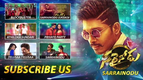 Private Party full Video song From Sarrainodu