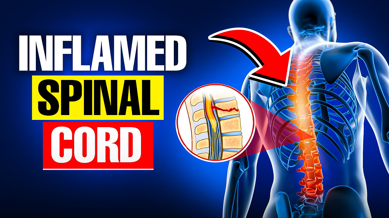 Inflammation and injury of the spinal cord