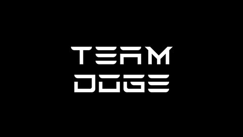 Team DOGE | A Fork In the Road