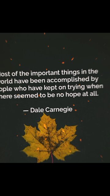 Your Qoute For A Day 211