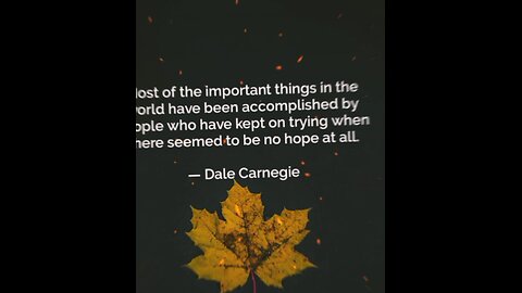 Your Qoute For A Day 211