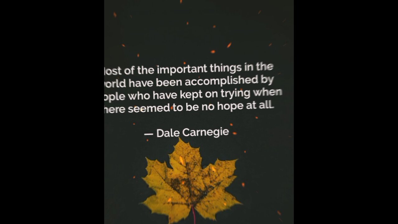 Your Qoute For A Day 211