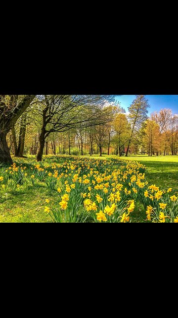 THE NEW YEAR ACCORDING TO THE BIBLE IS IN THE SPRINGTIME NOT WINTER…”Speak ye unto all the congregation of Israel, saying”🕎 Exodus 12:2 “This month shall be unto you the beginning of months: it shall be the first month of the year to you.”