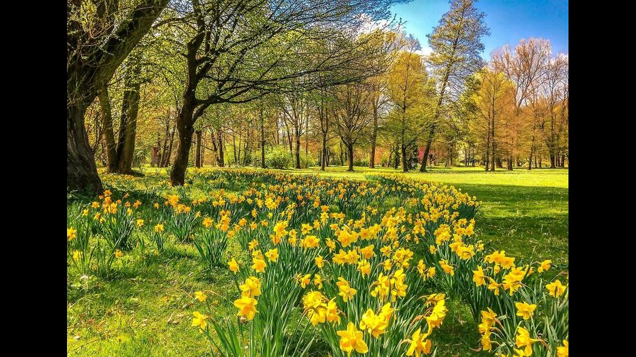 THE NEW YEAR ACCORDING TO THE BIBLE IS IN THE SPRINGTIME NOT WINTER…”Speak ye unto all the congregation of Israel, saying”🕎 Exodus 12:2 “This month shall be unto you the beginning of months: it shall be the first month of the year to you.”