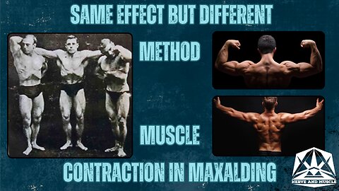 The Types Of Muscle Contractions; Maxalding