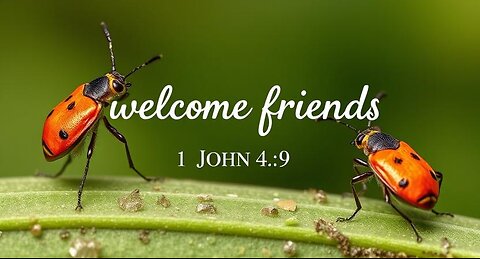 Do you like bugs in your skin? - 1 John 4:9