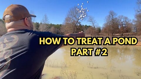 How to treat a pond part #2