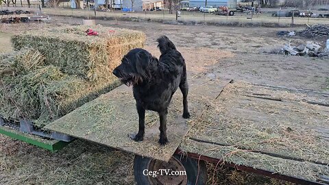 Graham Family Farm: 5:30 PM March 3 2025